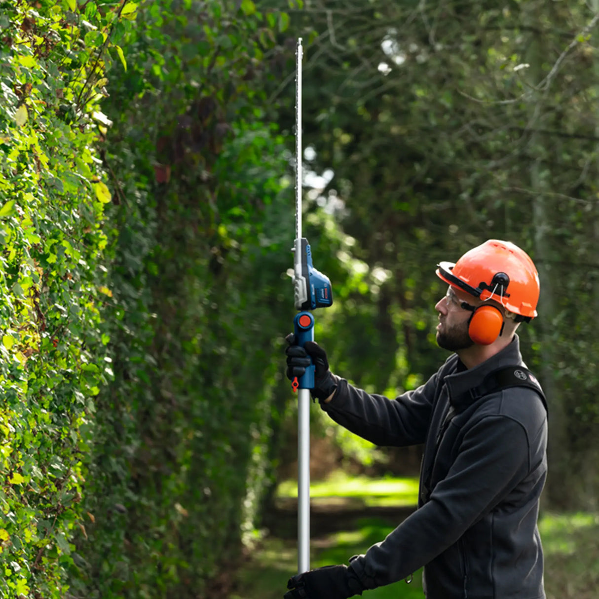 Tagliasiepi Telescopico Bosch GHE 18V-50 TP